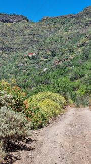 2023-04-GranCan-Guayadeque-095.jpg